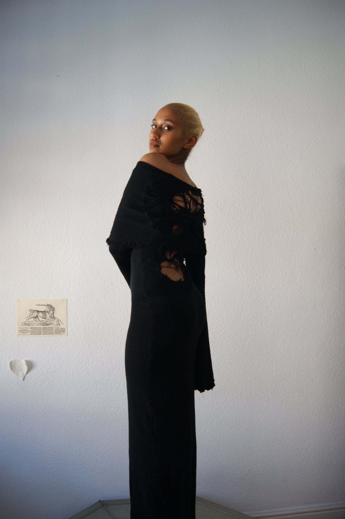 Annina black monkcore dress