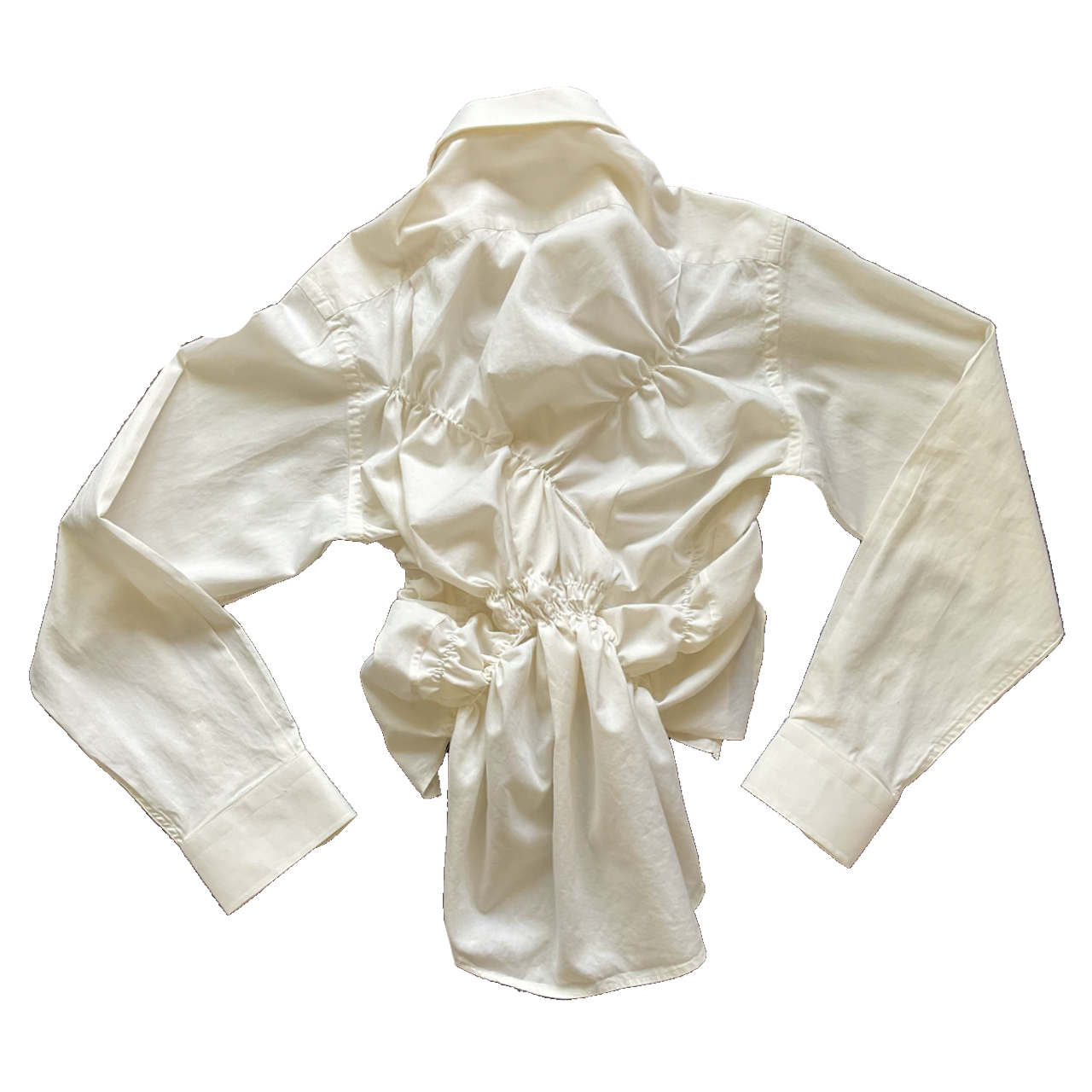 Tailbone Shirt